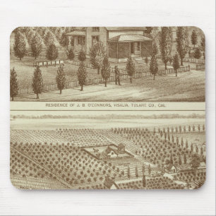 Ingezetenschap, kinderverzorging, stabiel, Visalia Muismat