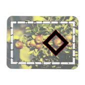 Ingwaz Rune Magnet - Hero! Magneet (Horizontaal)