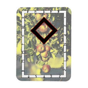 Ingwaz Rune Magnet - Hero! Magneet