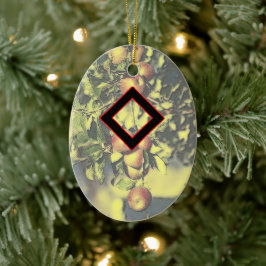 Ingwaz Viking Rune Yule Ornament - Hero!