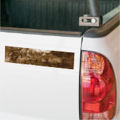 inheems amerikaans bumpersticker (Op Truck)