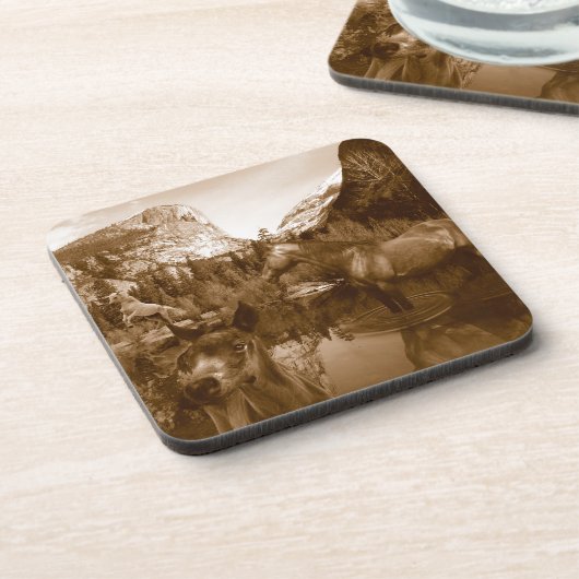 inheems amerikaans drankjes onderzetter (Linkerzijde)