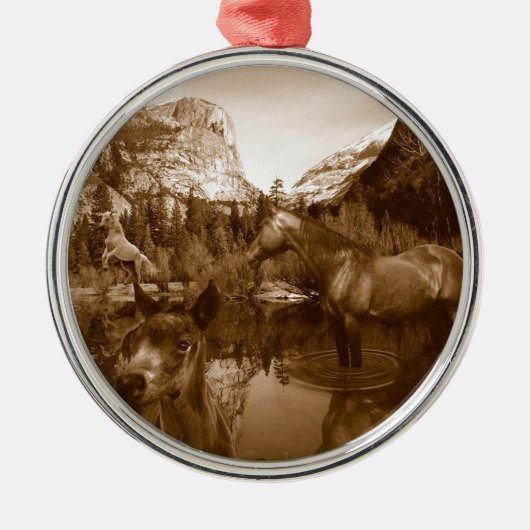 inheems amerikaans metalen ornament (Voorkant)