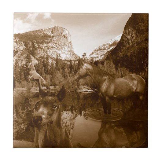 inheems amerikaans tegeltje (Voorkant)