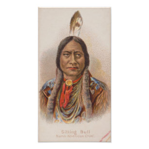 Inheemse Amerikaan: Lakota Sitting Bull, Rookadver Foto Afdruk