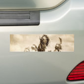 Inheemse Amerikaanse Bumpersticker (Op auto)