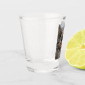 Inheemse Amerikaanse Iconen: Apache Krijgers, Amer Shot Glas (Links)