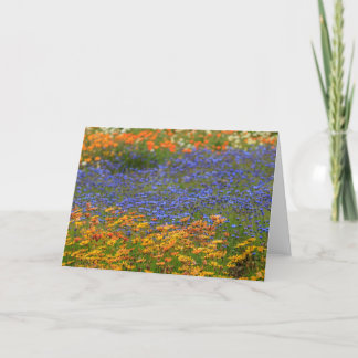 Inheemse bloemen, Kaapstad Feestdagen Kaart