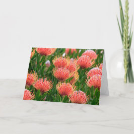 Inheemse bloemen, Kaapstad Zuid-Afrika Feestdagen Kaart