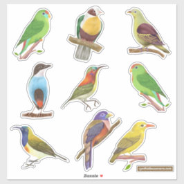 Inheemse/endemische vogels uit de Filipijnen Sticker