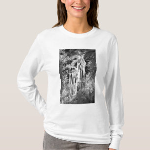 Inheemse Koninklijke Palmen in Fakahatchee Strand, T-shirt