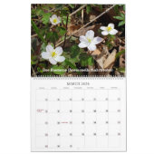 Inheemse Planten door de seizoenen Kalender (Mar 2026)