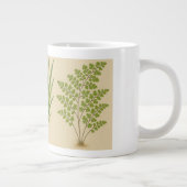 Inheemse Planten in het N.A. Eastern Temperate For Grote Koffiekop (Rechts)