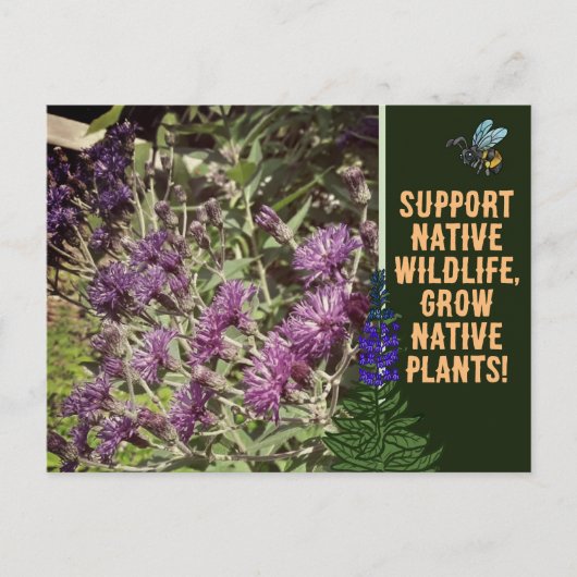 Inheemse Planten kweken, wilde bloemen Ironweed Briefkaart (Voorkant)