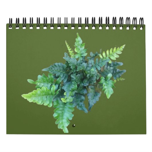 Inheemse Planten - Pacific northwest Kalender (Hoes)