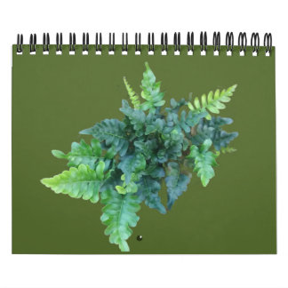 Inheemse Planten - Pacific northwest Kalender