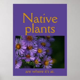 Inheemse planten zijn waar het om gaat poster