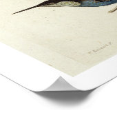 Inheemse vogels, inclusief de Toucan (midden), Ama Poster (Hoek)