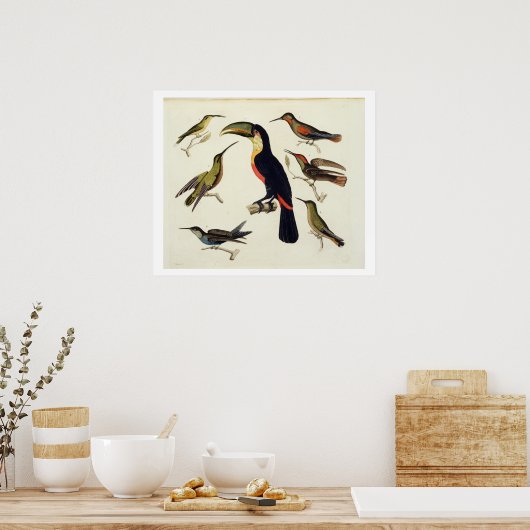 Inheemse vogels, inclusief de Toucan (midden), Ama Poster (Keuken)