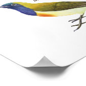 Inheemse vogels op de Filipijnen Poster (Hoek)