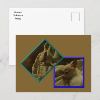 Inhoud Chihuahua Puppy Briefkaart