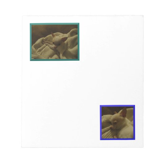 Inhoud Chihuahua Puppy Notitieblok (Voorkant)