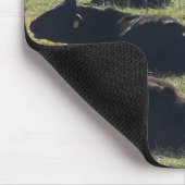 Inhoud is goed voor de oplossing muismat (Hoek)