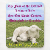 Inhoud rusten. II Muismat (Voorkant)