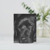 Inhoud, slaapzwarte labrador briefkaart (Staand voorkant)