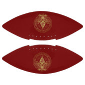 Inhuldiging Donald Trump JD Vance 2025 Logo USA American Football (Panelen)