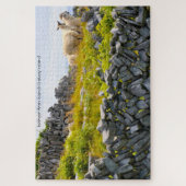 Inisheer Aran Eilanden Galway Ierland. Legpuzzel (Verticaal)