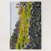 Inisheer Aran Islands Galway Ireland Jigzaag Puzzl Legpuzzel (Verticaal)