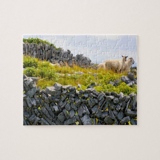 Inisheer Aran Islands Galway Ireland Legpuzzel (Horizontaal)