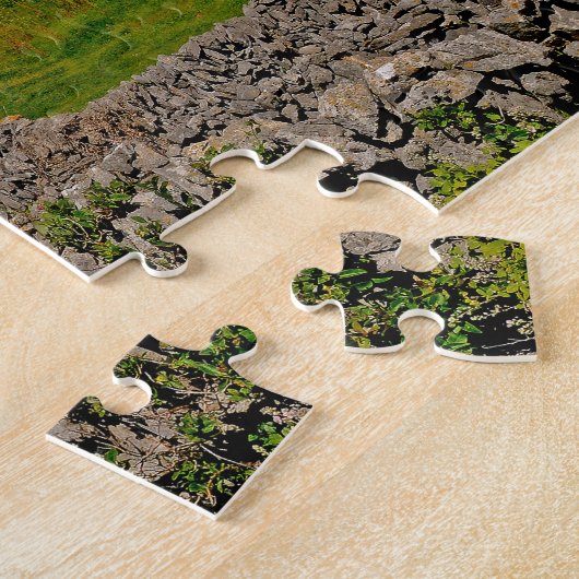 Inisheer Aran Islands Galway Ireland Legpuzzel (Zijkant)