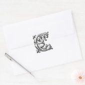 Initiaal E Hoofdletter Sticker in zilver (Envelop)