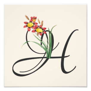 Initiaal H,  Harlequin Flower Photo Print Foto Afdruk