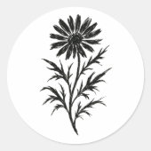 Ink Aster Bloom Wildflower Illustration on Ronde Sticker (Voorkant)