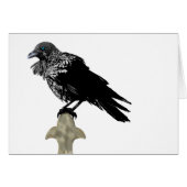 Inked Raven (Voorkant Horizontaal)
