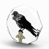 Inked Raven Fotoblokken (Rechts)