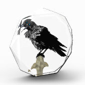 Inked Raven Fotoblokken (Links)