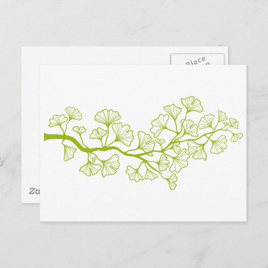 inkgoboom met groene bladeren briefkaart (Voorkant / Achterkant)