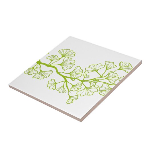 inkgoboom met groene bladeren tegeltje (Zijkant)