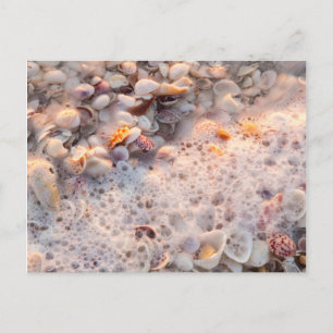 Inkomende branding en schelpen op Sanibel Island Briefkaart