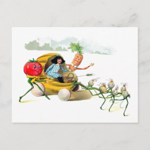 Inkomsten van de Vege-Mannen Briefkaart