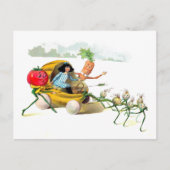 Inkomsten van de Vege-Mannen Briefkaart (Voorkant)