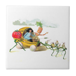 Inkomsten van de Vege-Mannen Tegeltje