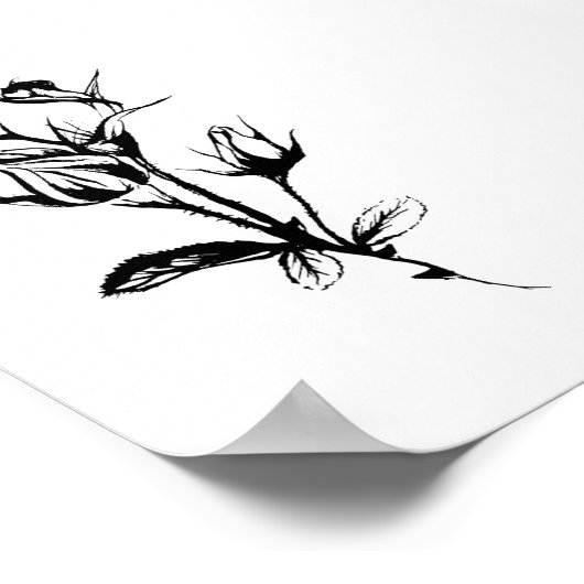 Inktschets van Rozen Poster (Hoek)