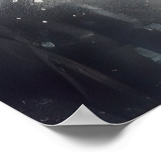 Inktschilderij van een wit beren poster (Hoek)