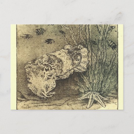 inktvis briefkaart (Voorkant)