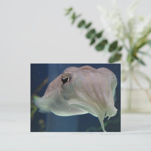 inktvis briefkaart (Staand voorkant)